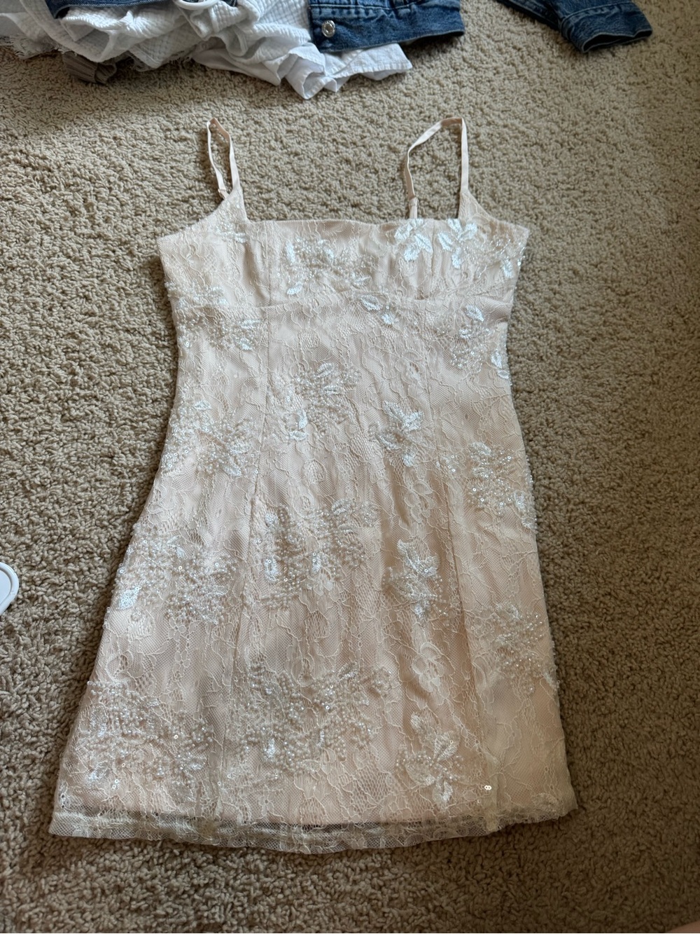 Windsor Blush Lace Mini Dress